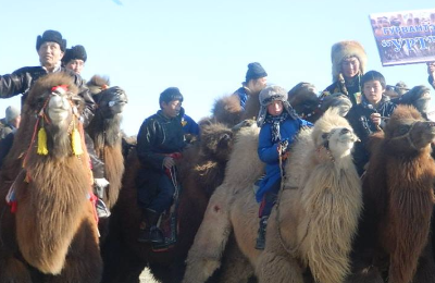 Organized 'Camel fest' in association with Local authorities.