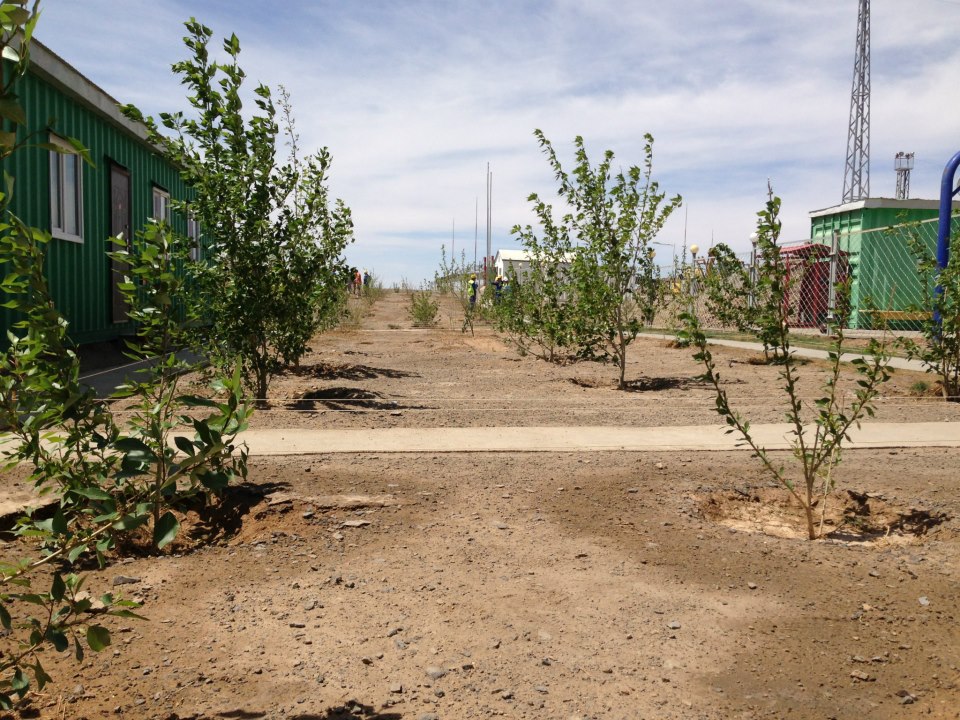  ДЭЛХИЙН ОЙН ӨДӨР – 3 ДУГААР САРЫН 21